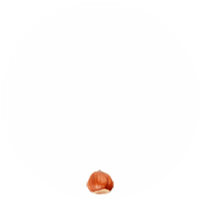 Nutella Novi Sticker by Crema_Novi