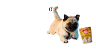 Excited Dog Sticker by Awesome Pawsome Treats