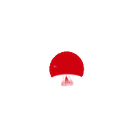 Cacabey Sticker by İstanbul Habersel