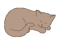Cat Kitten Sticker