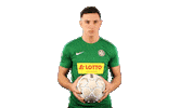 Regionalliga Emro Sticker by HSC Hannover