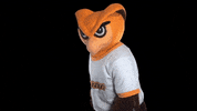 Ncaa Mascot GIF by Rowan University