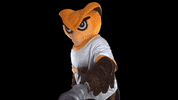 Ncaa Mascot GIF by Rowan University