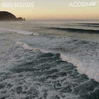 800 Words Travel GIF by Acorn TV Latin America