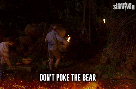 survivorau giphyupload bear survivor teddy GIF