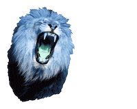 Angry Fight Sticker by Discovery