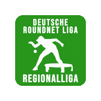 Spikeball Sticker by Roundnet Germany