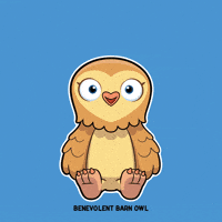 Happy Barn Owl GIF by VeeFriends