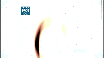 caleb johnson cj harris GIF by American Idol