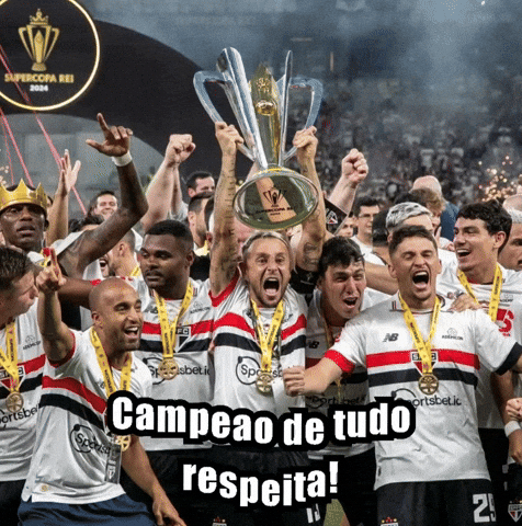 Spfcnacao_ giphycreatortest santos palmeiras tricolor GIF