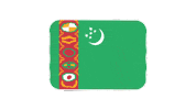 emojivid emoji flag emojivid turkmenistan Sticker