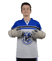 skkelti sport ballhockey ballhockeylife skkelti Sticker