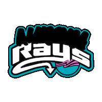 Cheer Rays Sticker by The Stingray Allstars