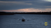 GIF by National Geographic Channel
