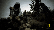 GIF by National Geographic Channel