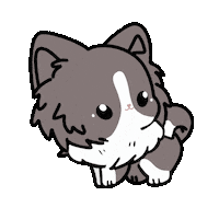 Border Collie Dog Sticker
