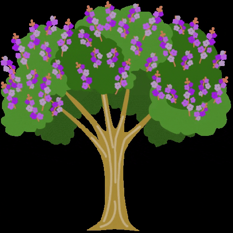 cynthiabauzonarre flower flowers tree philippines GIF