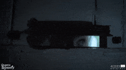 looking olivia vinall GIF by Acorn TV