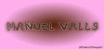 Manuel Valls Pamela Chougne GIF