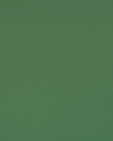 Portland Timbers Soccer GIF by Timbers