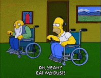 homer simpson race GIF