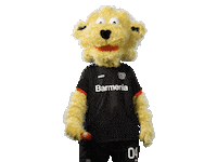 Bayer 04 Brian Sticker by Bayer 04 Leverkusen
