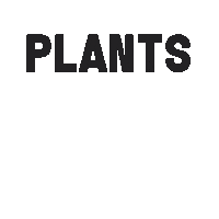 Cbd Oil Plants Sticker by Dollar-a-Day CBD