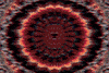GIF by Leo Pyrata