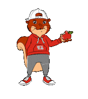 Happy Sport Sticker by Brasschaat