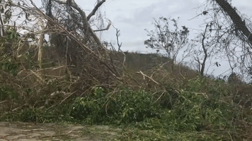 Buildings, Power Lines and Trees Destroyed Across Northern Puerto Rico
