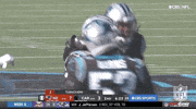 Carolina Panthers Football GIF by NFL