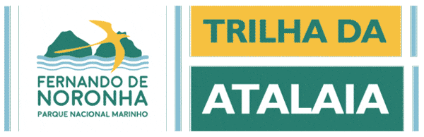 Fernandodenoronha Atalaia GIF by EcoNoronha