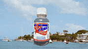 Beach Sea GIF