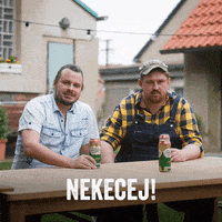 Starobrno_cz beer pivo Brno morava GIF