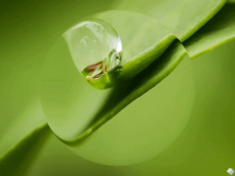 You Can Wow GIF by FranchiseONE.de