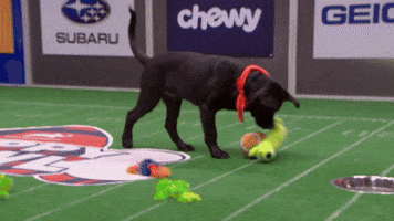 Double Fumbles, Oh No!