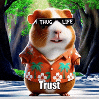 Wisdom Trust GIF by Guinea Gambino