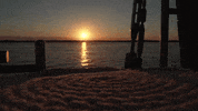 florida GIF