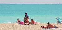 florida GIF
