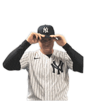 New York Baseball Sticker by New York Yankees