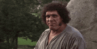 Princess Bride Time GIF