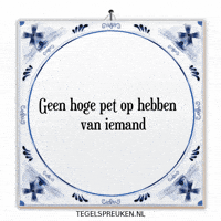 Humor Nl GIF by Tegelspreuken.nl