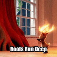 Unity Wisdom GIF by elkijahspark