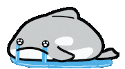 Orca Sticker