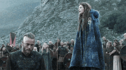 season 1 vikings GIF by HISTORY