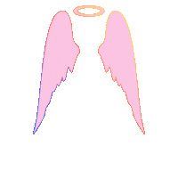 Angel Wings Sticker