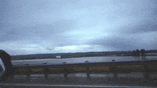 washington GIF