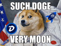 Invest Shiba Inu GIF by DigiByte Memes