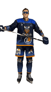 Celebration Goal Sticker by Hockey Club Châlonnais