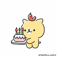 Party Celebrate GIF
